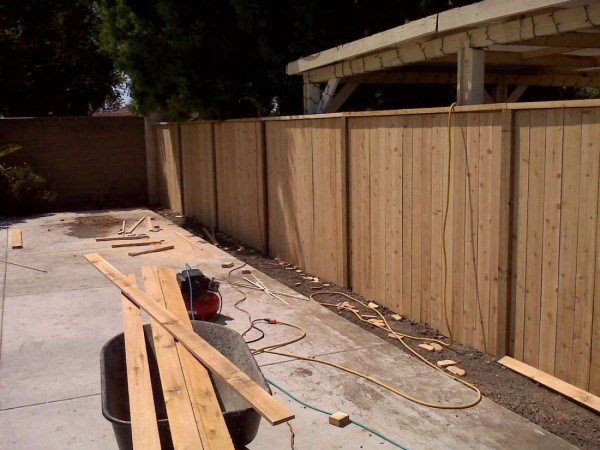 Rich_Jr_Pictures_001_-_Copy_(2) (1)