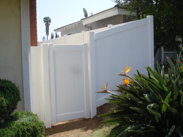 Rich_Jr_Pictures_001_-_Copy_(2) (2)