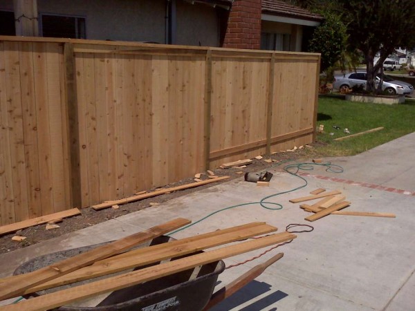 Rich_Jr_Pictures_012