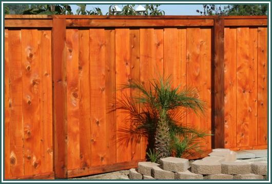 Rich_Jr_Pictures_150