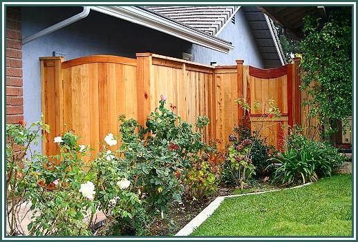 Rich_Jr_Pictures_151