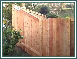 Rich_Jr_Pictures_154