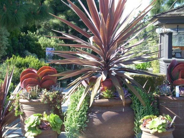 planters_at_sidewalks_014[1]