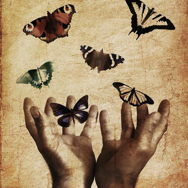 Hand reaching out to colorful butterflies in flight, nature scene.