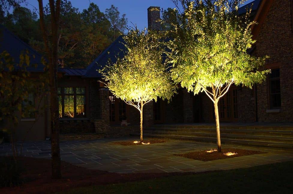 landscape tree uplight