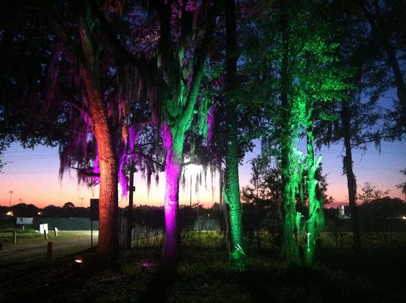 rgb tree lights