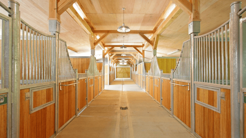 The bright barn light