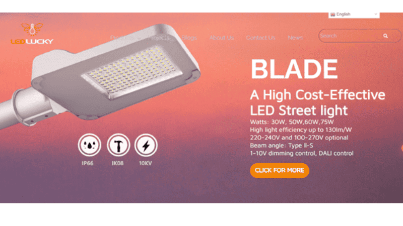 Ledlucky Holdings Company Limited.