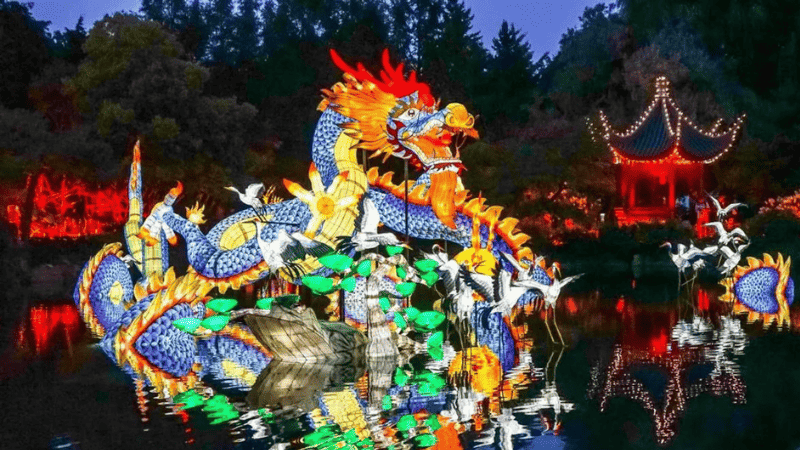 stunning garden light