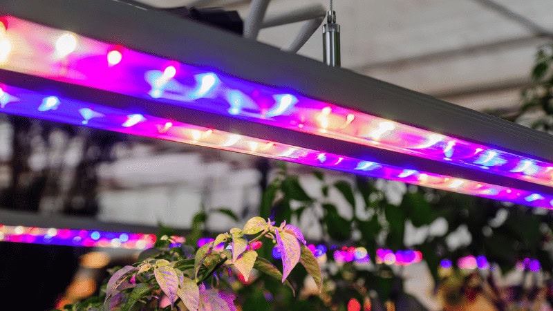 full-spectrum LED Grow Light