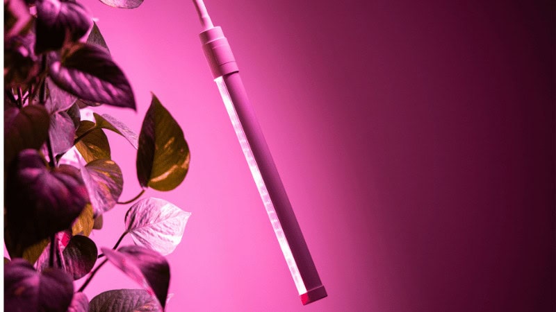 LED Grow Lights for horticulture