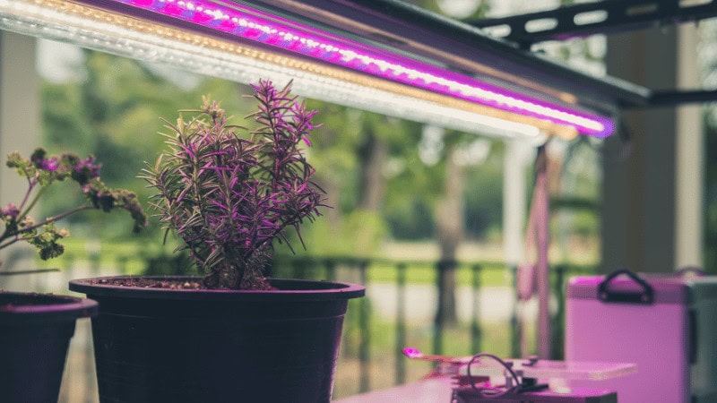 linear LED grow lights