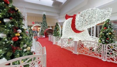 Woodland Mall Santa