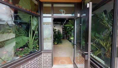 The Plant Parlour