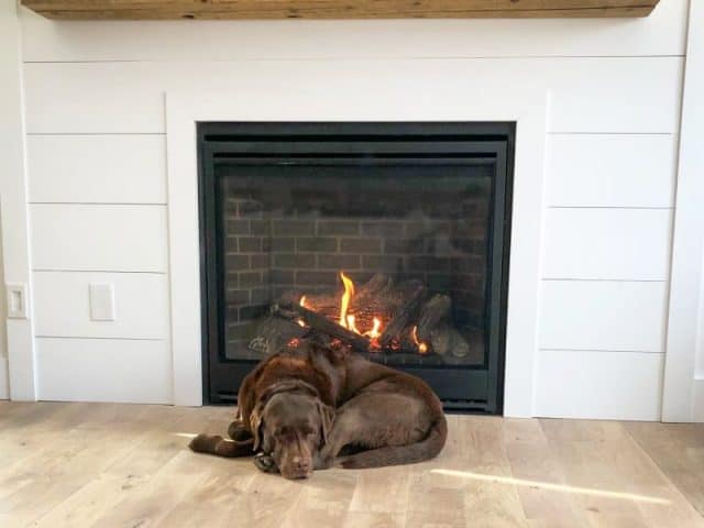 The Warmth of Wood in Design and Architecture