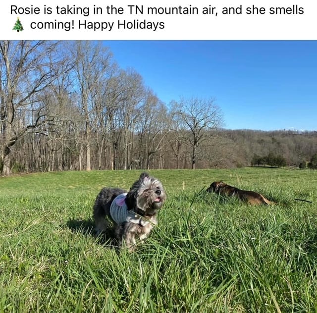 Rosie