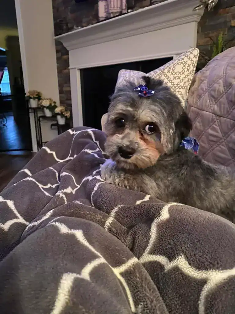 Rosie
