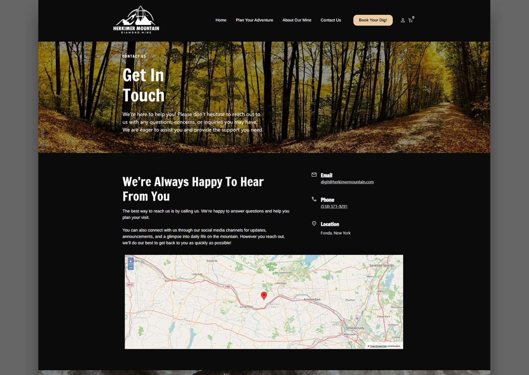 Scenic forest trail in autumn with colorful leaves and tall trees.