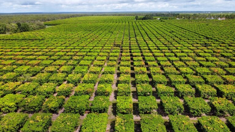 360-underwriting-expands-into-crop-insurance-with-cru-acquisition