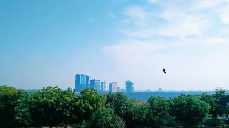 adnic-to-establish-gift-city-branch-in-india