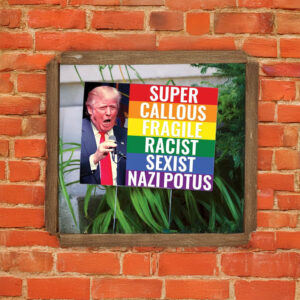 Super Callous Fragile Racist Sexist Nazi POTUS Yard Sign