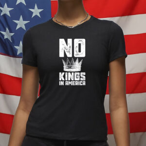 pro democracy comfort colors graphic shirt, no kings in america shirt