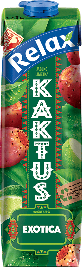 Kaktus - 1000 ml / Karton