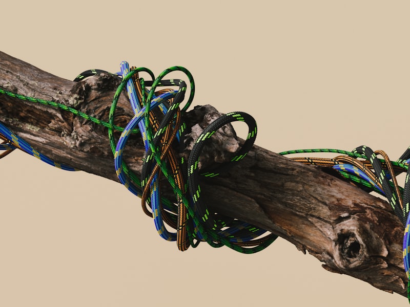 Anker 100W USB-C Cable 2-Pack