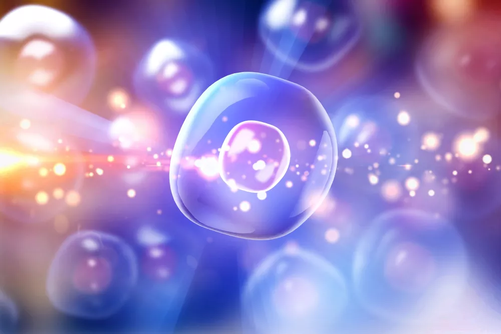 Is Stem Cell Therapy Legal in Mexico?