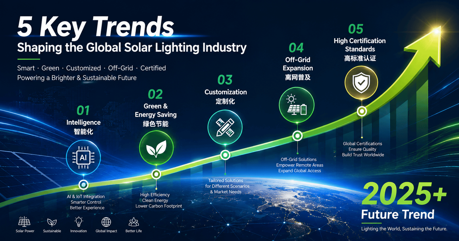 Solar Lighting Industry Trend Infographic