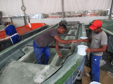 The Making of GEMINI WR880 RIB – A RIBs ONLY Exclusive! @ RIBs ONLY - Home of the Rigid Inflatable Boat