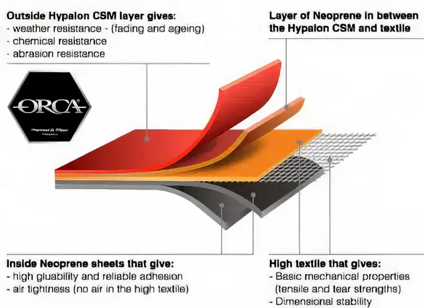 dissection hypalon