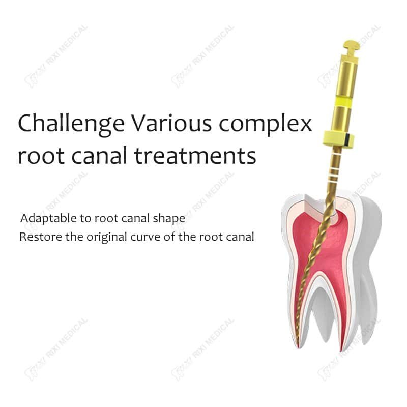 Dental Chair Features — CE/FDA Certified by Rixi Medical