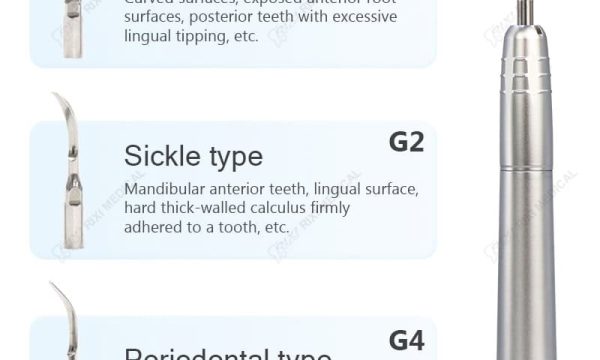 Electric Dental Chair — CE/FDA Certified by Rixi Medical