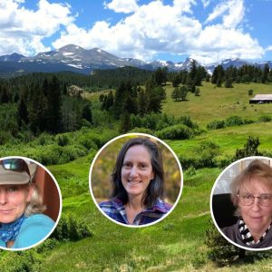 Ackert Siber and Powell 2026 1