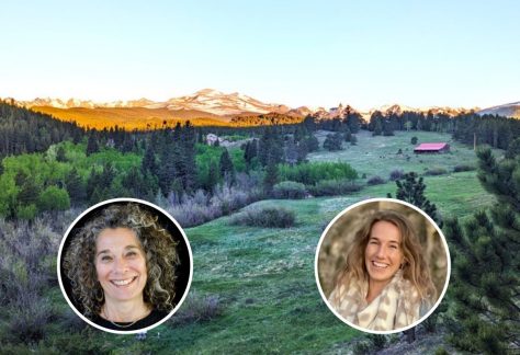 Bourne and Lear 2026 1 1