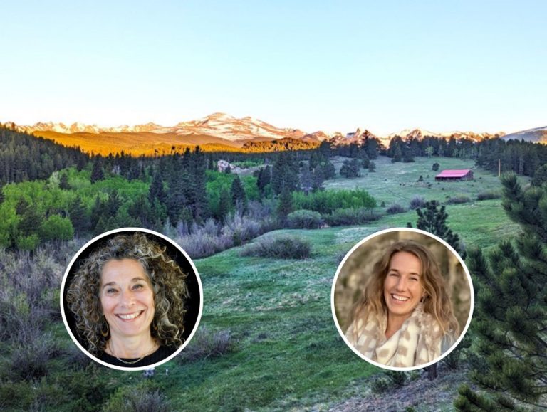 Bourne and Lear 2026 1 1