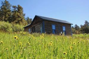 Cabin Front and Flowers Holly Wilder DSC 0448