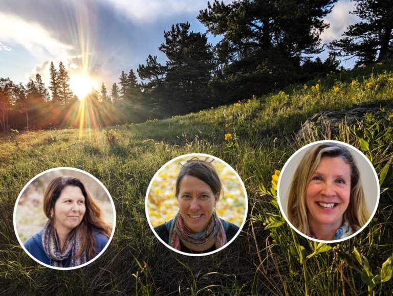 Calvert Leonard Santshi 2026 1