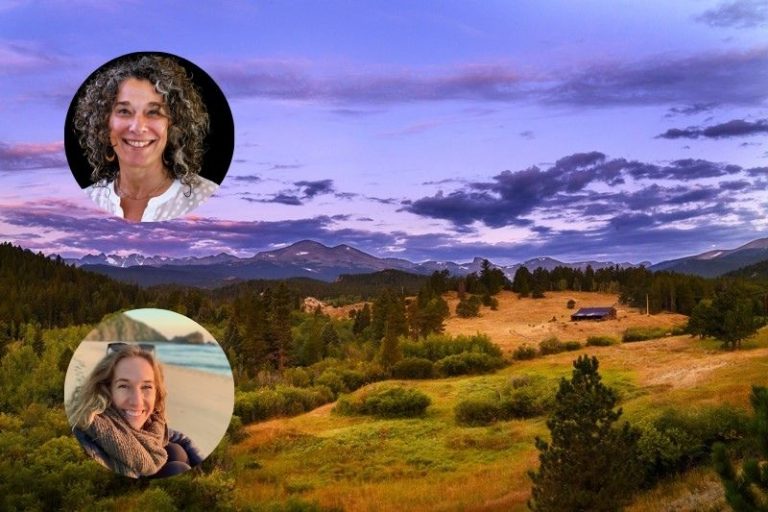 Heidi 2025