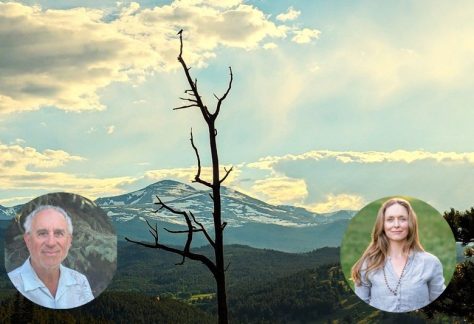 Johann and Caverly Nonduality 2025