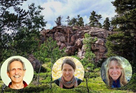 Leonard and Bazaz 2025