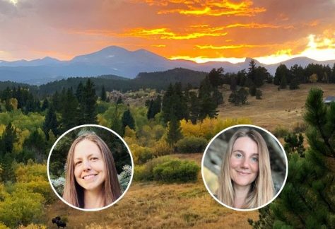 Love and Waves 2026 2