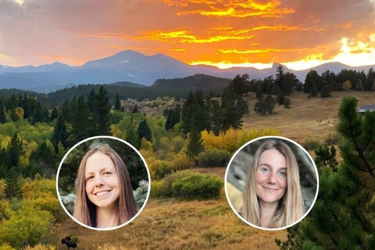 Love and Waves 2026 2