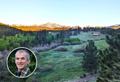 Mark Coleman 2026 v2