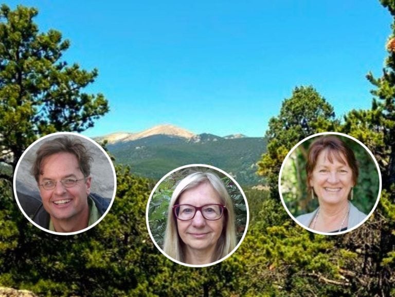 Williams Brennan Resario 2026 1 1