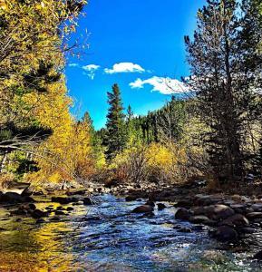 hiking stream pic cr