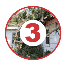 storm15