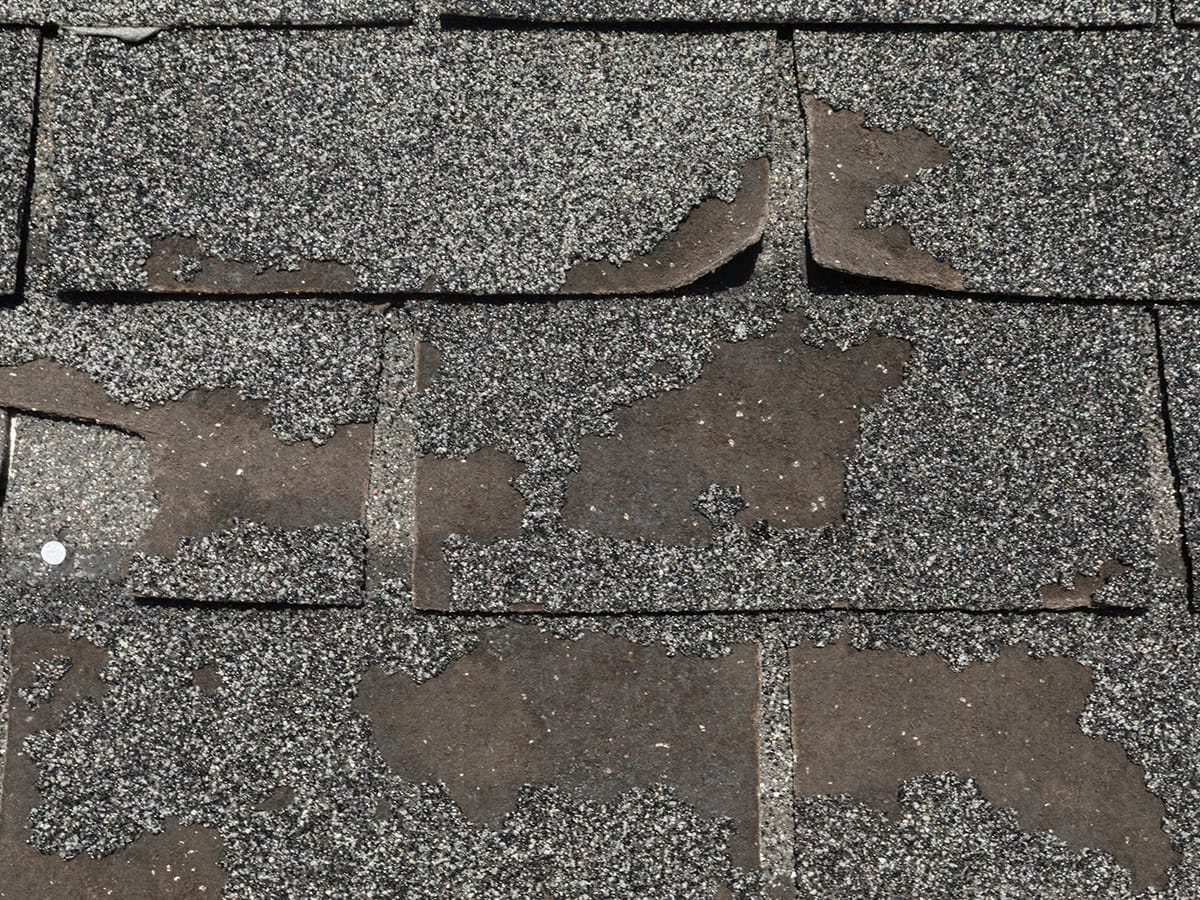 Damaged Roof Shingles
