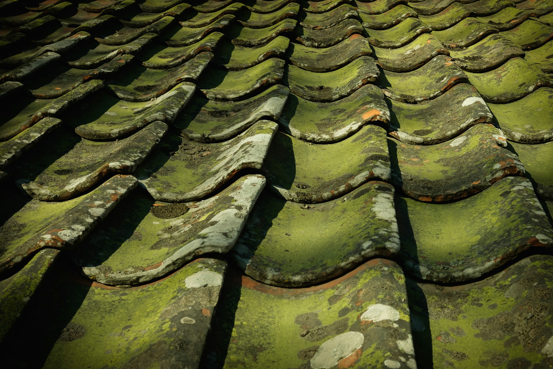 moss roof